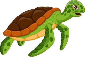 tecknad sköldpadda på vit bakgrund vektor
