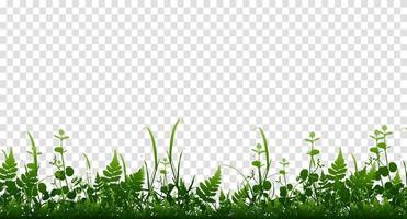 Vektor hellgrün realistische nahtlose Gras Grenze isolierten Hintergrund. Vektor-Illustration