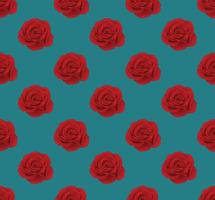 rote Rose auf nahtlosem Hintergrund in Blaugrün vektor