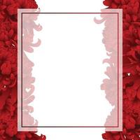rote Chrysantheme Blumenbanner Kartenrand vektor