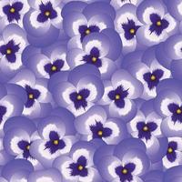 violette Stiefmütterchenblume auf nahtlosem Hintergrund vektor