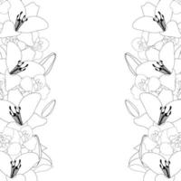 Lilie und Irisblume Umrissgrenze auf weißem Hintergrund vektor