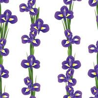 Irisblume nahtlos auf weißem Hintergrund vektor