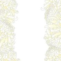 weiße Chrysanthemen-Blumenbordüre vektor