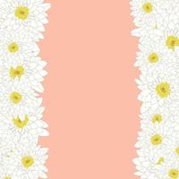 weiße Chrysanthemen-Bordüre vektor