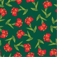 rote Canna-Lilie auf grünem Hintergrund vektor