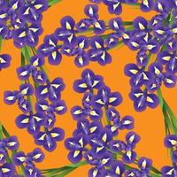 dunkelblaue lila Irisblume auf orangem Hintergrund. vektor