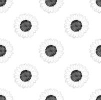 Sonnenblume nahtlos auf weißem Hintergrund vektor