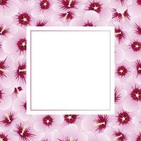 hibiscus syriacus - rose of sharon banner kort vektor