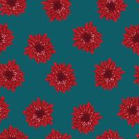 rote Chrysantheme auf indigoblauem Hintergrund. vektor