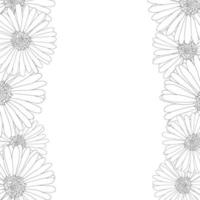aster, daisy blomma kontur gränsen vektor