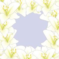 vit lilja blomma gränsen isolerad på lila bakgrund2 vektor