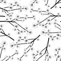 Momo Pfirsichblüten Umriss nahtlos auf weißem Hintergrund. vektor