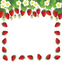 röd jordgubbe och blomma ram på vit bakgrund vektor