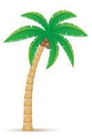 Palme tropische Baum-Vektorillustration vektor