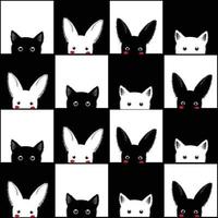 schwarz weiße katze kaninchen schachbrett hintergrund vektor