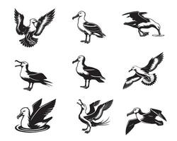 Sammlung von Albatros Illustration - - Albatros Vogel Clip Art Design vektor