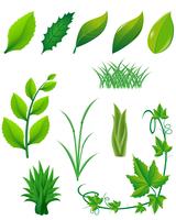 ikon uppsättning gröna blad och växter för design vektor