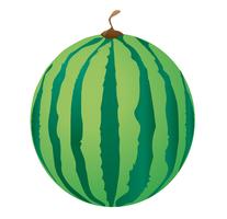 vattenmelon vektor