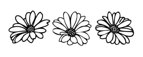 Gänseblümchen florale Elemente handgezeichnet vektor