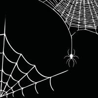 Hintergrund Spinnennetz Vektor schwarz und weiß