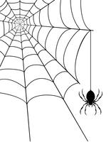 Spinnennetzvorrat-Vektorillustration