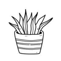 süße Zimmerpflanze im Blumentopf isoliert auf weißem Hintergrund. handgezeichnete Vektorgrafik im Doodle-Stil. perfekt für Karten, Dekorationen, Logos. vektor