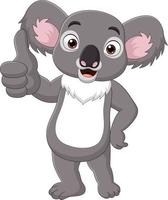 lustiger koala der karikatur, der daumen aufgibt vektor