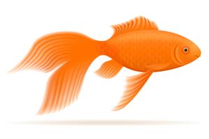 Aquarienfisch-Vektor-Illustration vektor