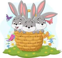 Cartoon mit drei Kaninchen im Korb vektor