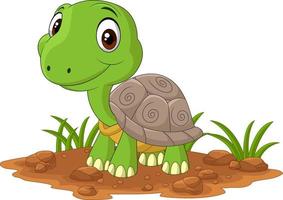 Cartoon-Baby-Schildkröte auf dem Feld