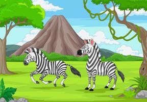 tecknad två zebror i djungeln vektor