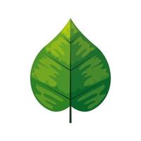 Eco grünes Blatt auf weißem Hintergrund vektor