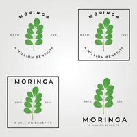 moringa oleifera set logo, wunderbaum logo vektor illustration design, natürliche medizin, eine million vorteile