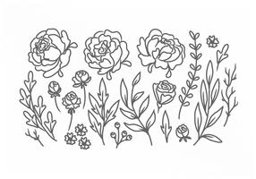 Vektor Hand gezeichnete Blumen