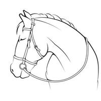 realistisk hästprofil med clipart för huvud och hals. vektor illustration
