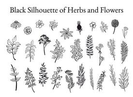 illustration uppsättning av örter, växter och blommor skisser vektor