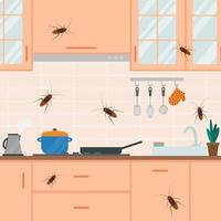 Kakerlaken leben und kriechen in der Küche, Insekten im Haus. vektor