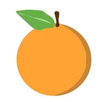platt enkel mandarin apelsin vektor