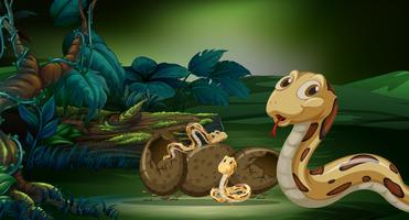 Schlange und ihre Nachkommen im Wald vektor