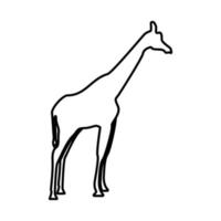 Giraffe ist ein schwarzes Symbol. vektor