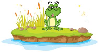 ein Frosch und Wasser vektor