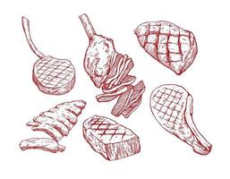 Rindfleisch-Fleisch-Set-Illustration vektor