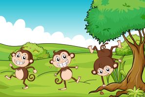 Die drei Affen