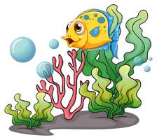 Ein gelber Fisch unter dem Meer in der Nähe der Algen vektor