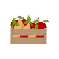 Holzkiste mit rotem Apfel und Birne, Fall mit Früchten isoliert auf weißem Hintergrund. Vektor-Illustration. vektor