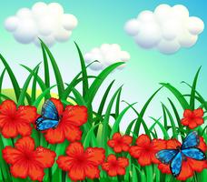 En trädgård med röda blommor och blåa fjärilar vektor