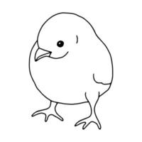 Huhn handgezeichnete Strichzeichnung. konturzeichnung.doodles.drawing für osterferien. kleines chicken.the vogel home.vector illustration