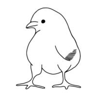 Huhn handgezeichnete Strichzeichnung. konturzeichnung.doodles.drawing für osterferien. kleines chicken.the vogel home.vector illustration