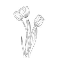 linjekonst av skiss blomma. abstrakt handritad vektorillustration. abstrakt växtkonstdesign för tryck, heminredning, omslag, tapeter, minimala och naturliga väggkonstaffischer vektor